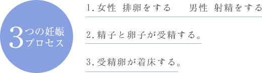 3つの妊娠プロセス:1.女性 排卵をする 男性 射精をする 2.精子と卵子が受精する。 3.受精卵が着床する。